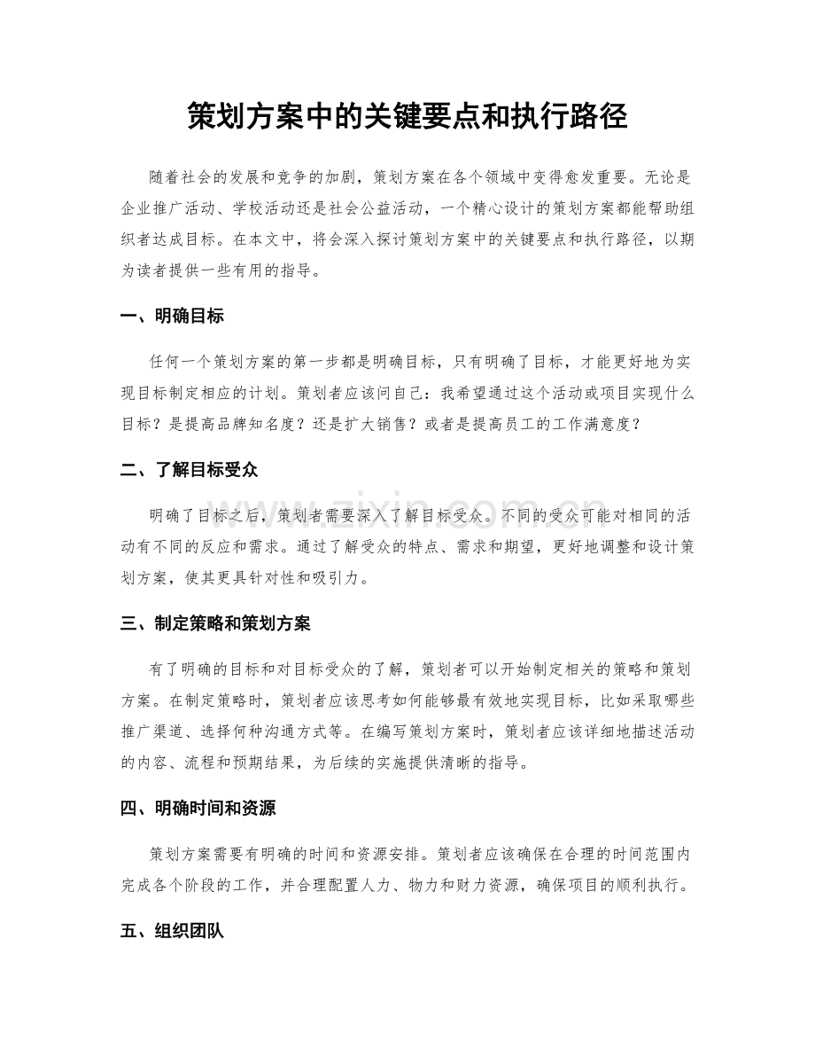 策划方案中的关键要点和执行路径.docx_第1页