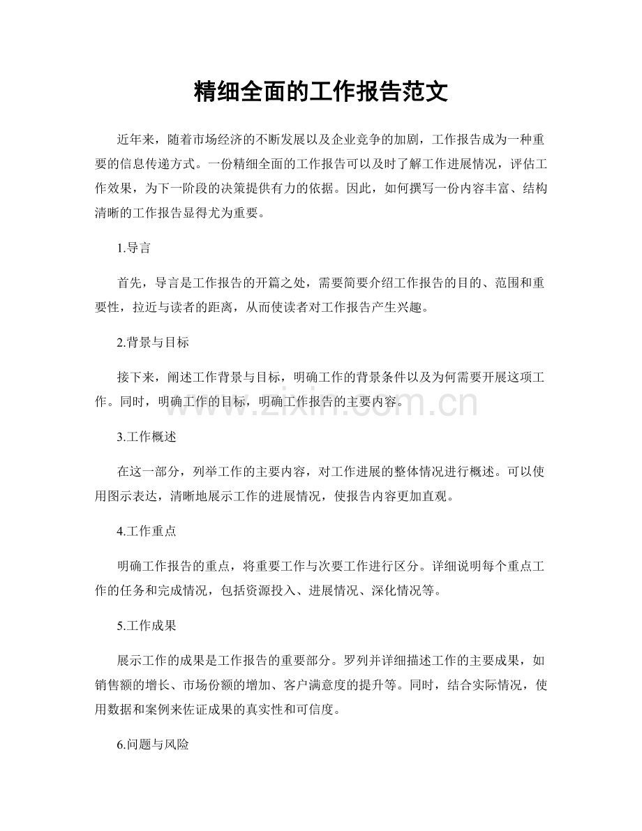 精细全面的工作报告范文.docx_第1页