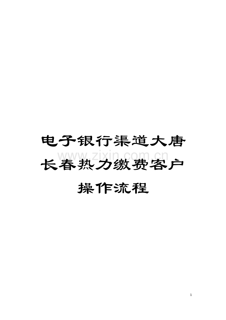 电子银行渠道大唐长春热力缴费客户操作流程模板.doc_第1页