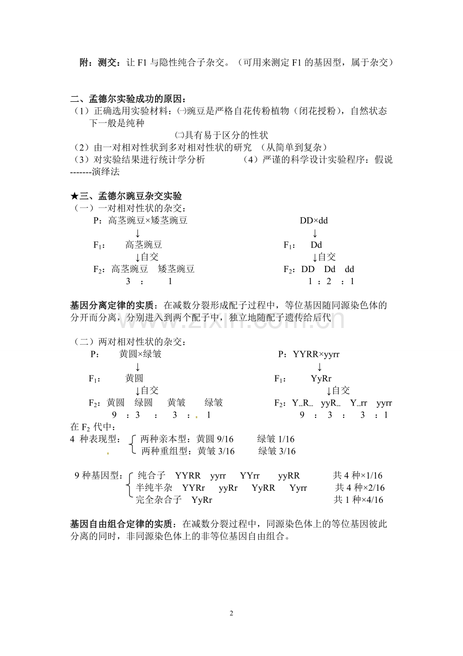 高中生物必修二知识点提纲(人教版).pdf_第2页