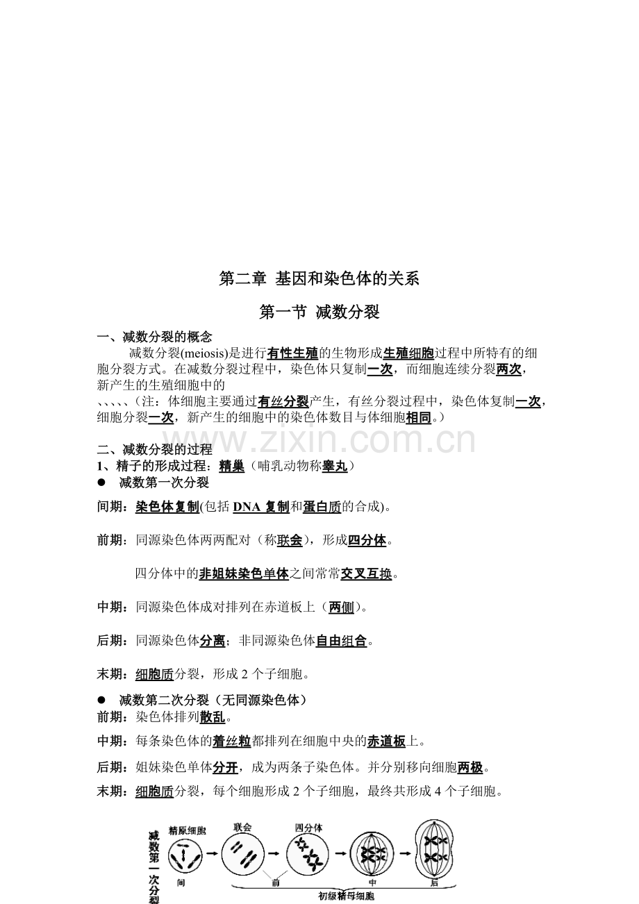 高中生物必修二知识点提纲(人教版).pdf_第3页