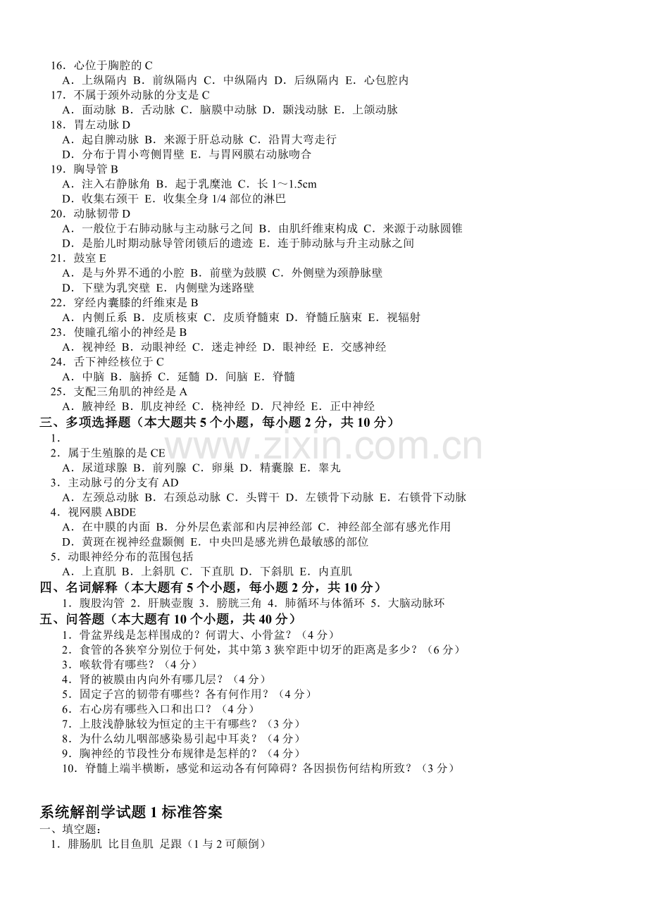 系统解剖学试题及答案.doc_第2页