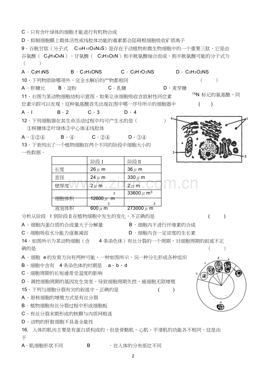 高中生物必修一期末考试综合试题(2).doc_第2页