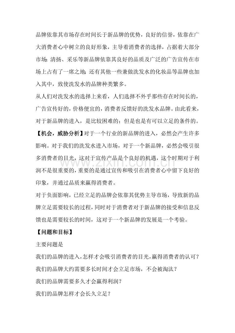 洗发水营销方案.doc_第2页