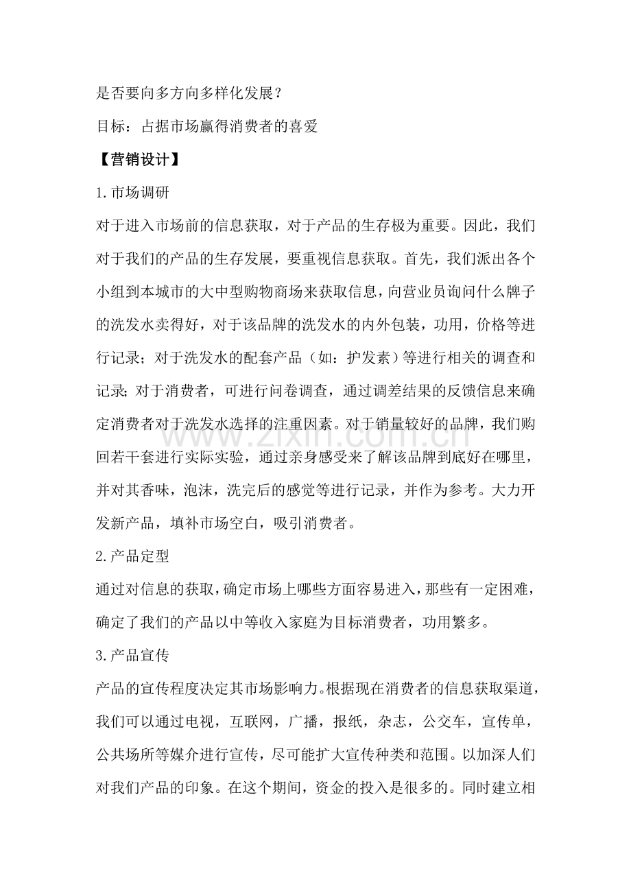 洗发水营销方案.doc_第3页