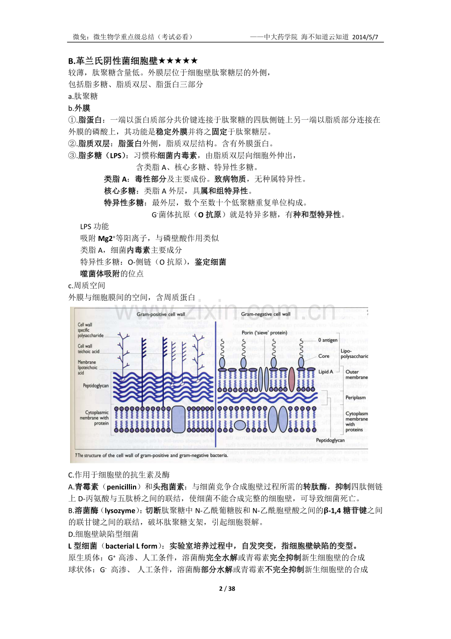 微生物学重点内容(考试必看).doc_第2页