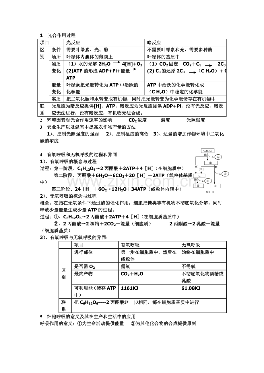 光合作用呼吸作用专项突破.doc_第1页