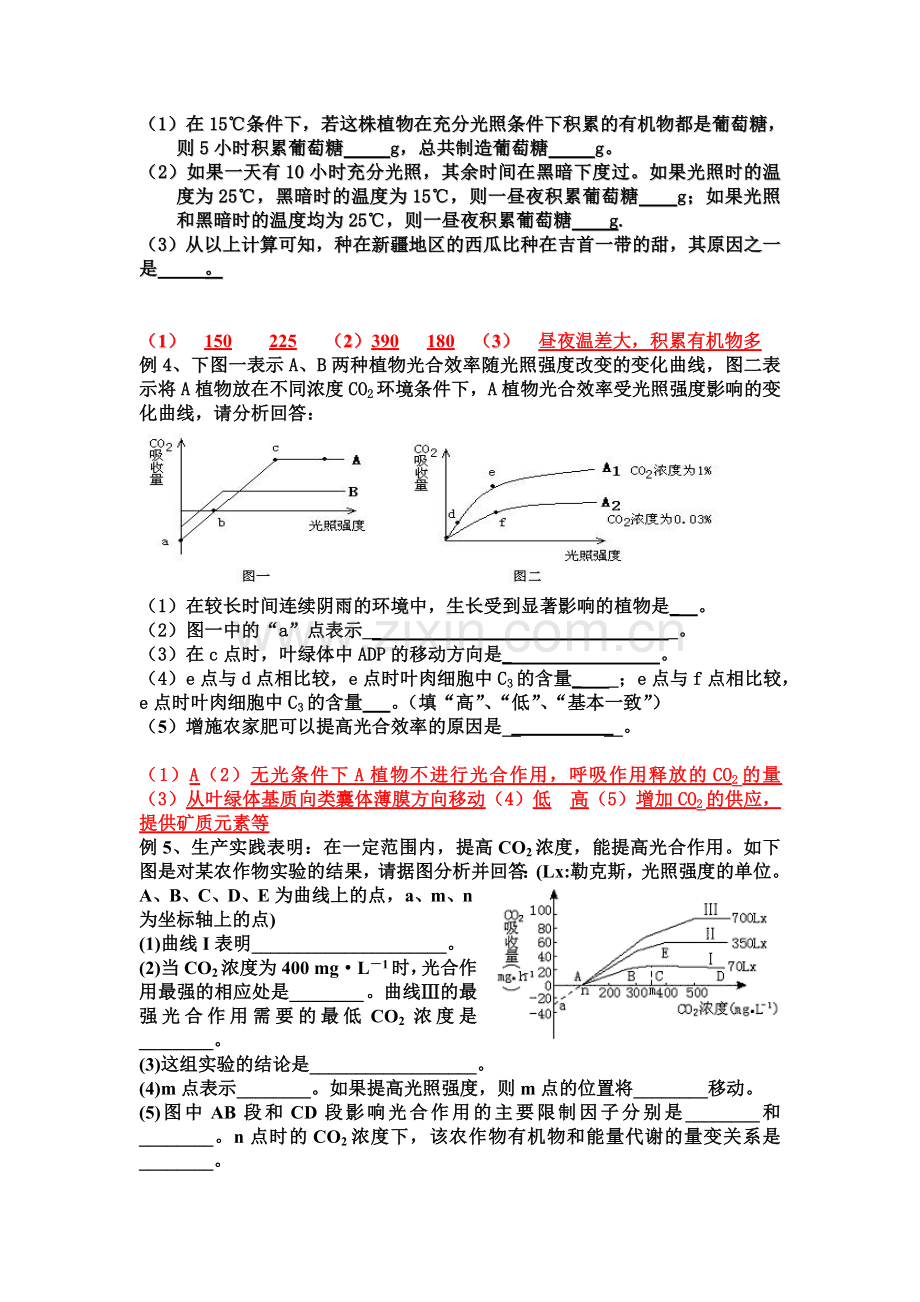 光合作用呼吸作用专项突破.doc_第3页