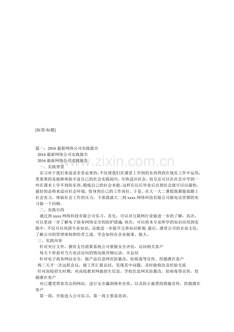 网络信息技术公司暑假社会实践报告.doc_第1页