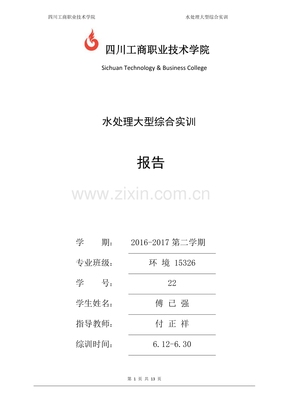 水处理大型综合实训报告.doc_第1页