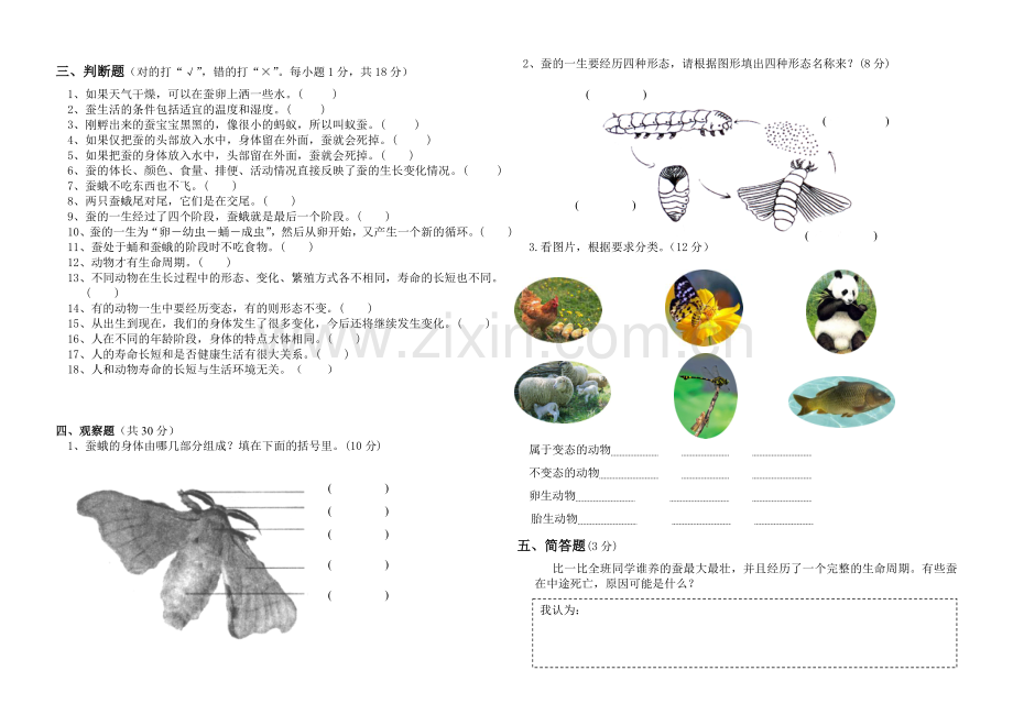 教科版三年级科学下册第二单元测试卷.doc_第2页