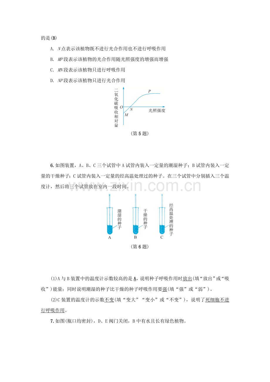 2019-2020年八年级科学下册3.6光合作用2同步练习新版浙教版.doc_第2页