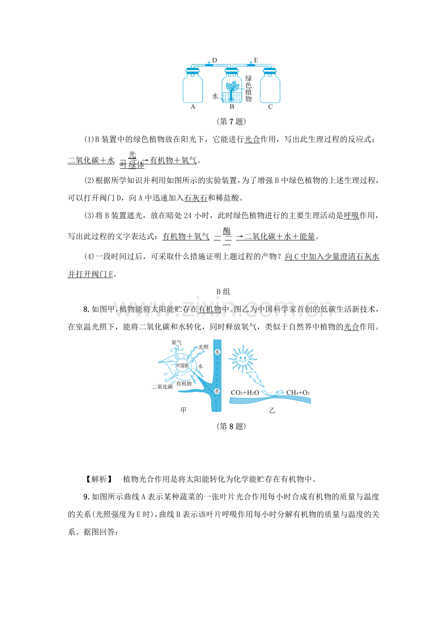 2019-2020年八年级科学下册3.6光合作用2同步练习新版浙教版.doc_第3页