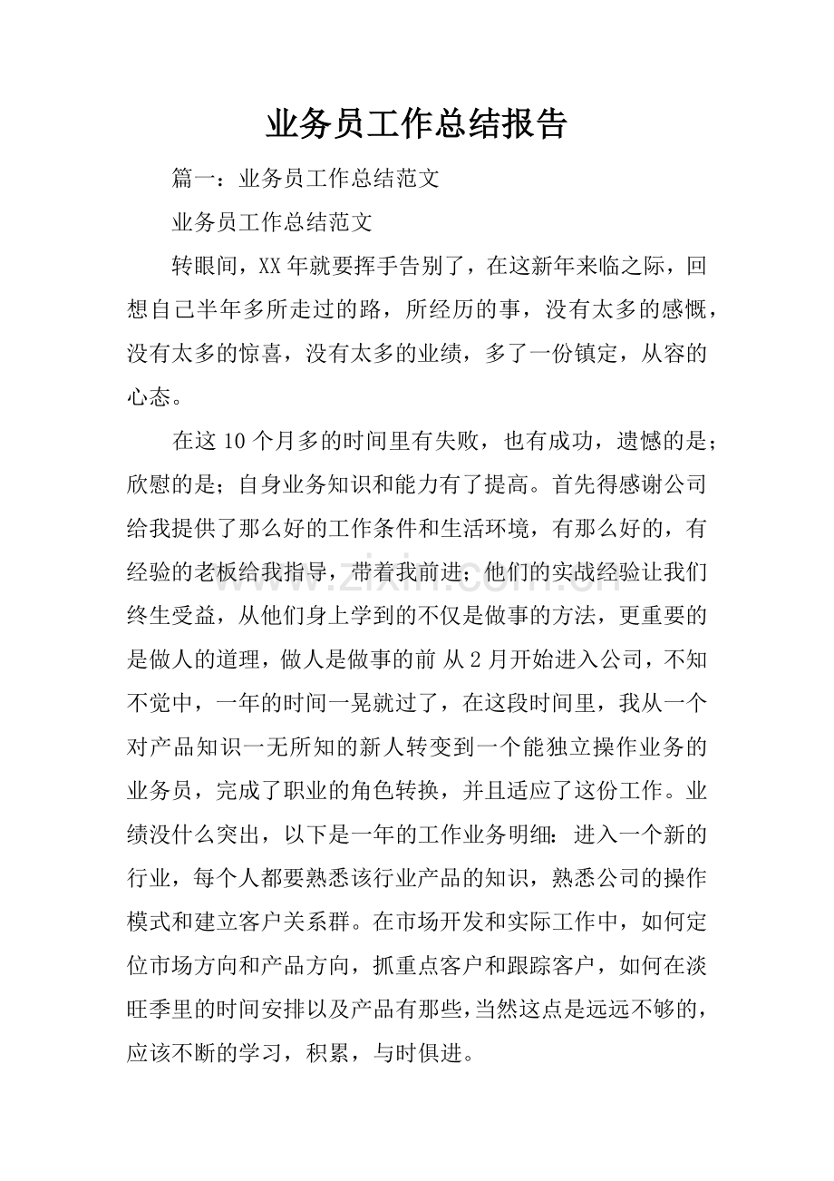 业务员工作总结报告.doc_第1页