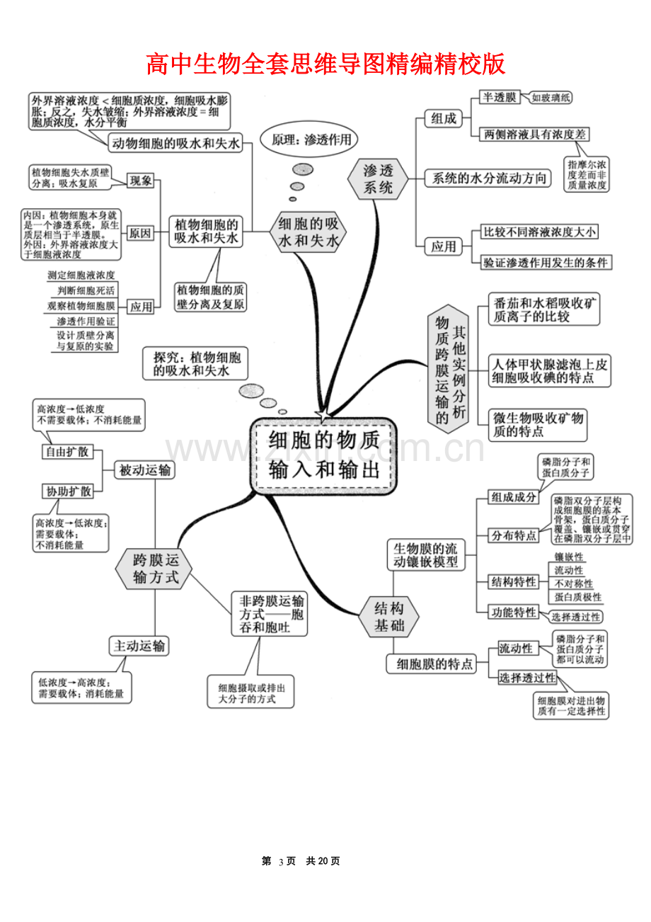 高中生物全套思维导图精编精校版.pdf_第3页