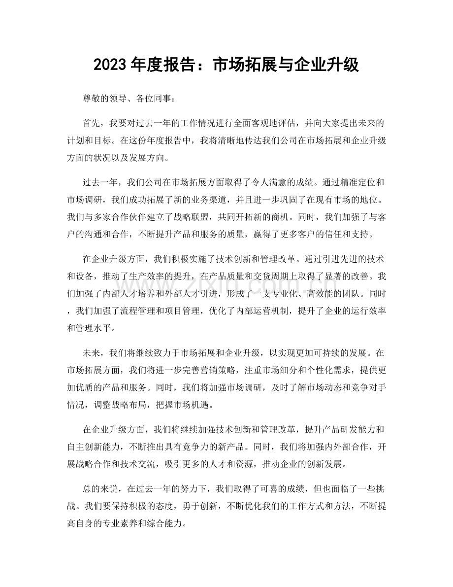 2023年度报告：市场拓展与企业升级.docx_第1页