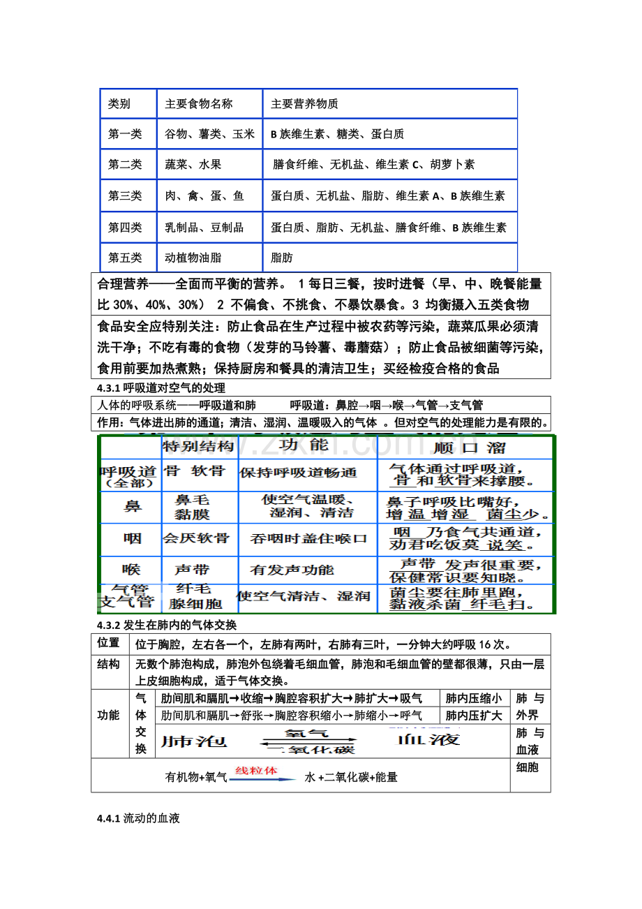 人教版七年级生物下册知识点总结.doc_第3页