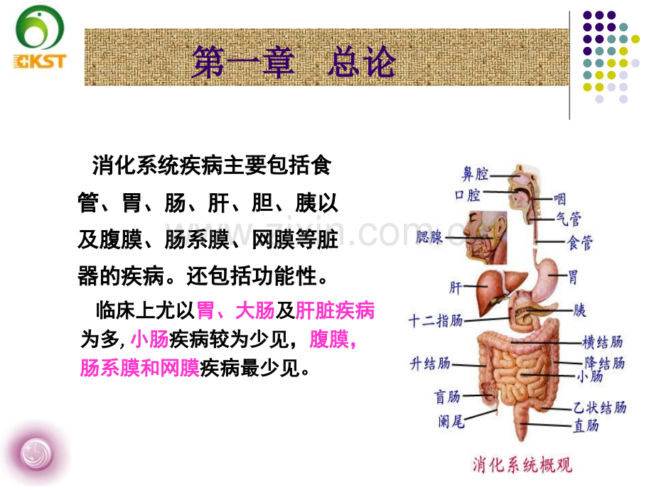 医学课件消化系统疾病.ppt_第1页