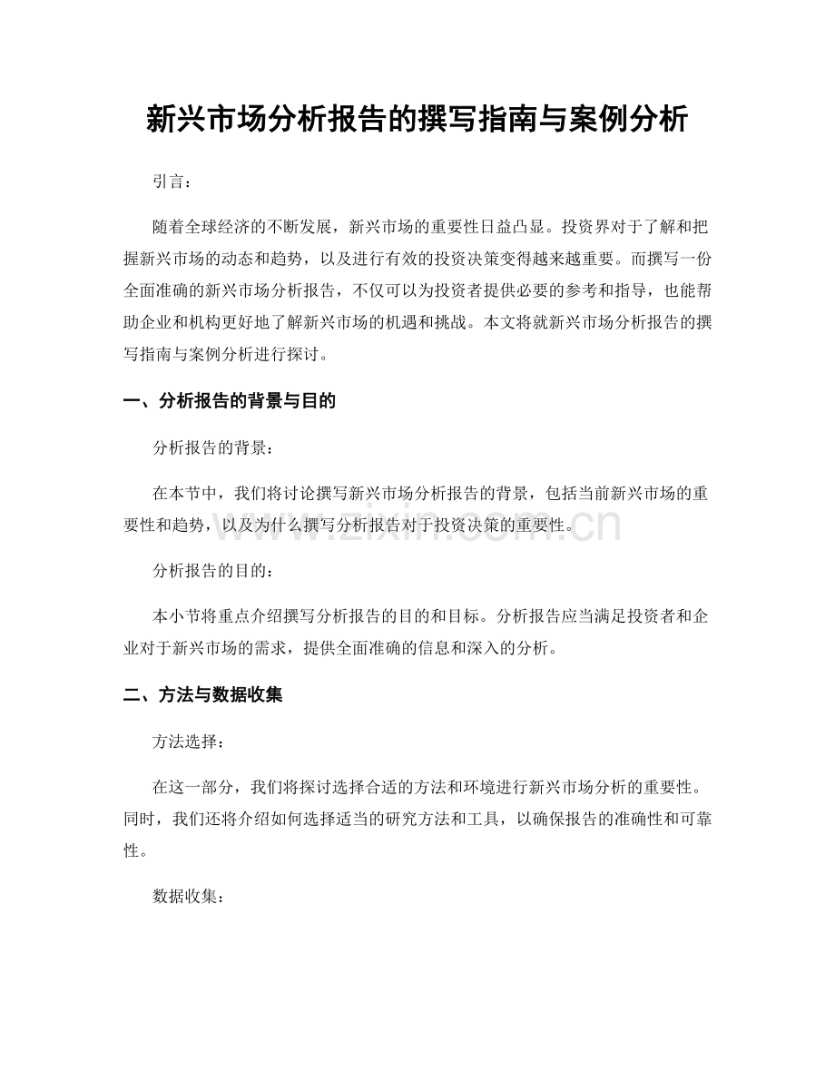 新兴市场分析报告的撰写指南与案例分析.docx_第1页