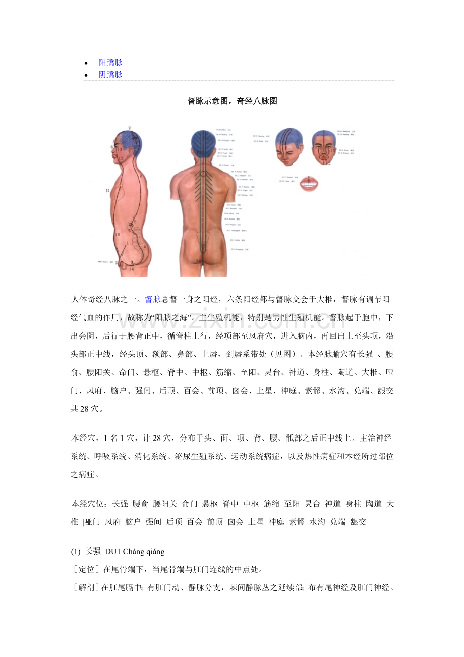 奇经八脉示意图.doc_第2页