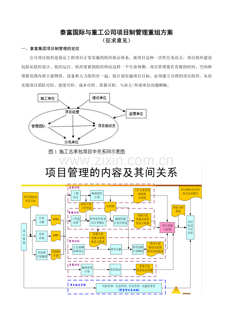 项目制组织机构调整方案.doc_第1页