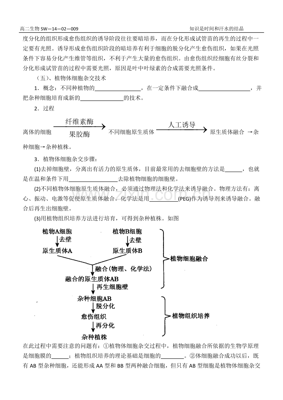 植物细胞工程导学案1.doc_第3页