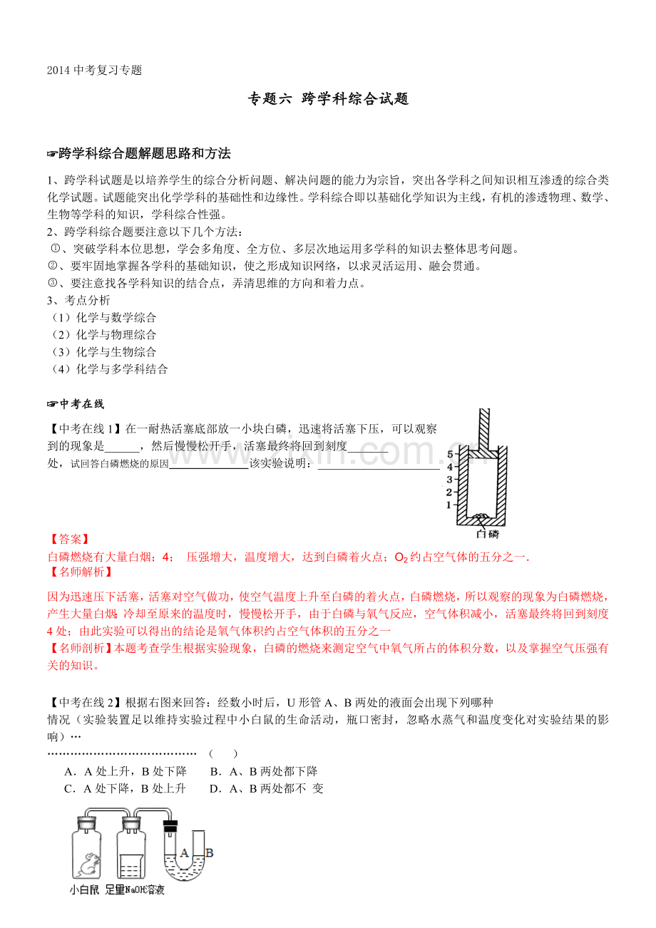 中考化学专题复习教学案-专题6跨学科综合试题.doc_第1页