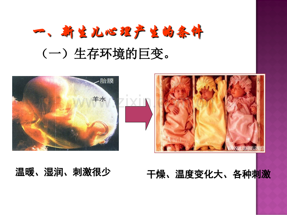 消费心理学主题讲座.ppt_第2页