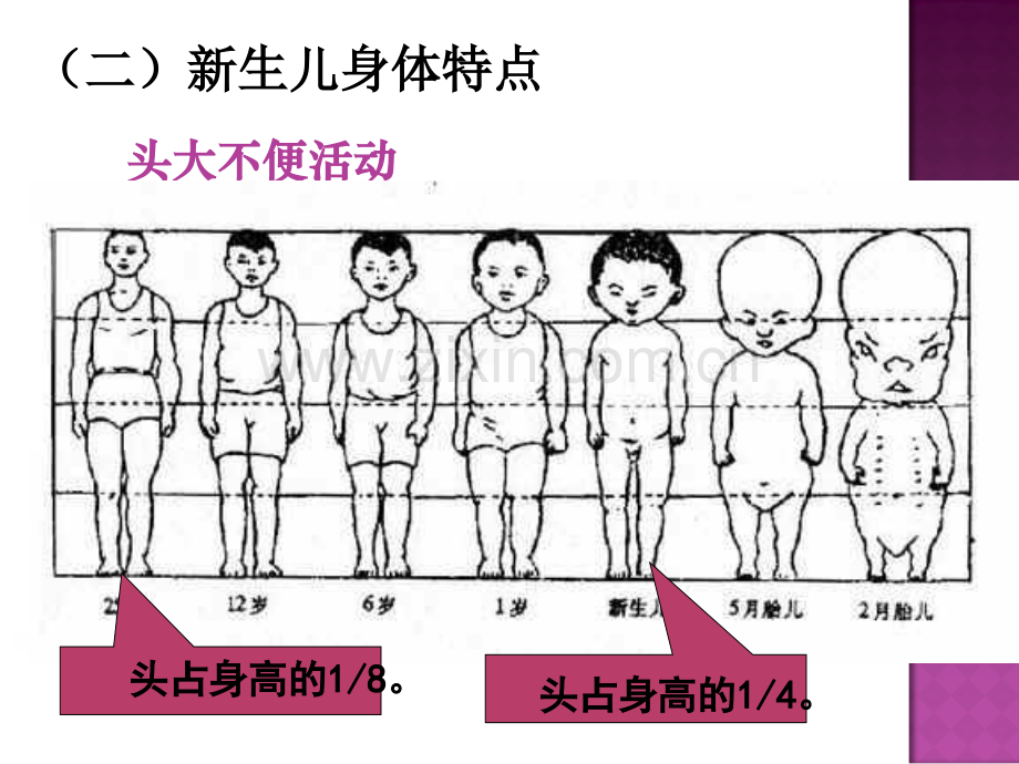 消费心理学主题讲座.ppt_第3页