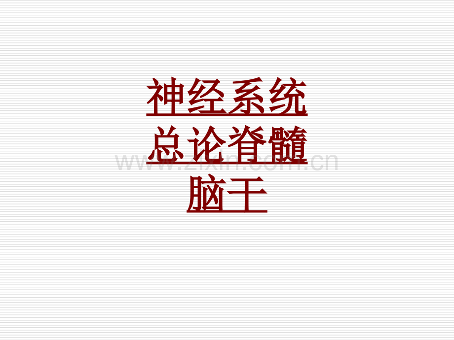 医学神经系统总论脊髓脑干.ppt_第1页