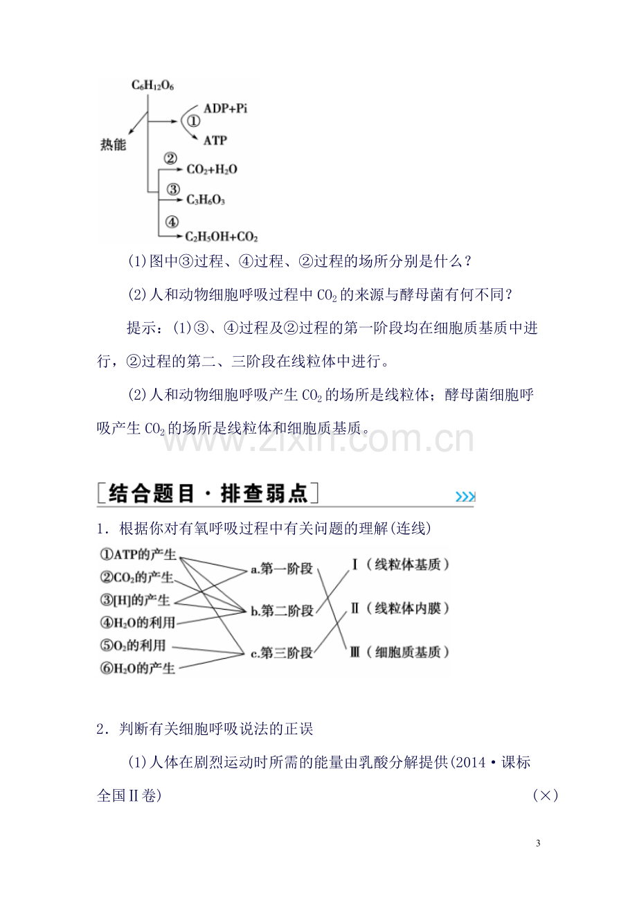 【金版学案】高考生物一轮复习知识点与课后训练：第3单元第9讲--细胞呼吸.doc_第3页