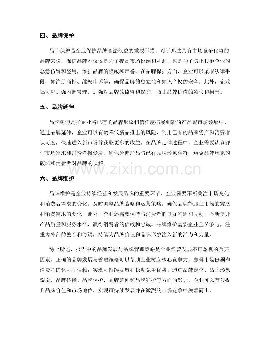 报告中的品牌发展与品牌管理策略.docx_第2页