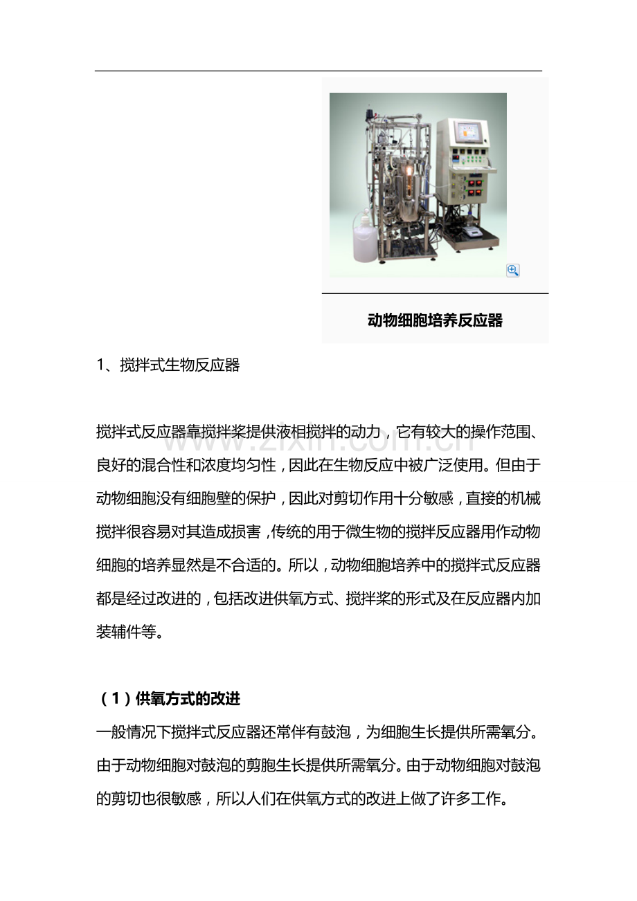 动物细胞培养反应器.doc_第2页