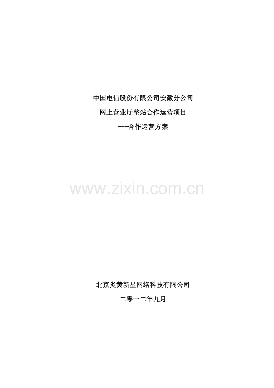 公司网上营业厅整站合作运营项目合作运营方案.docx_第2页