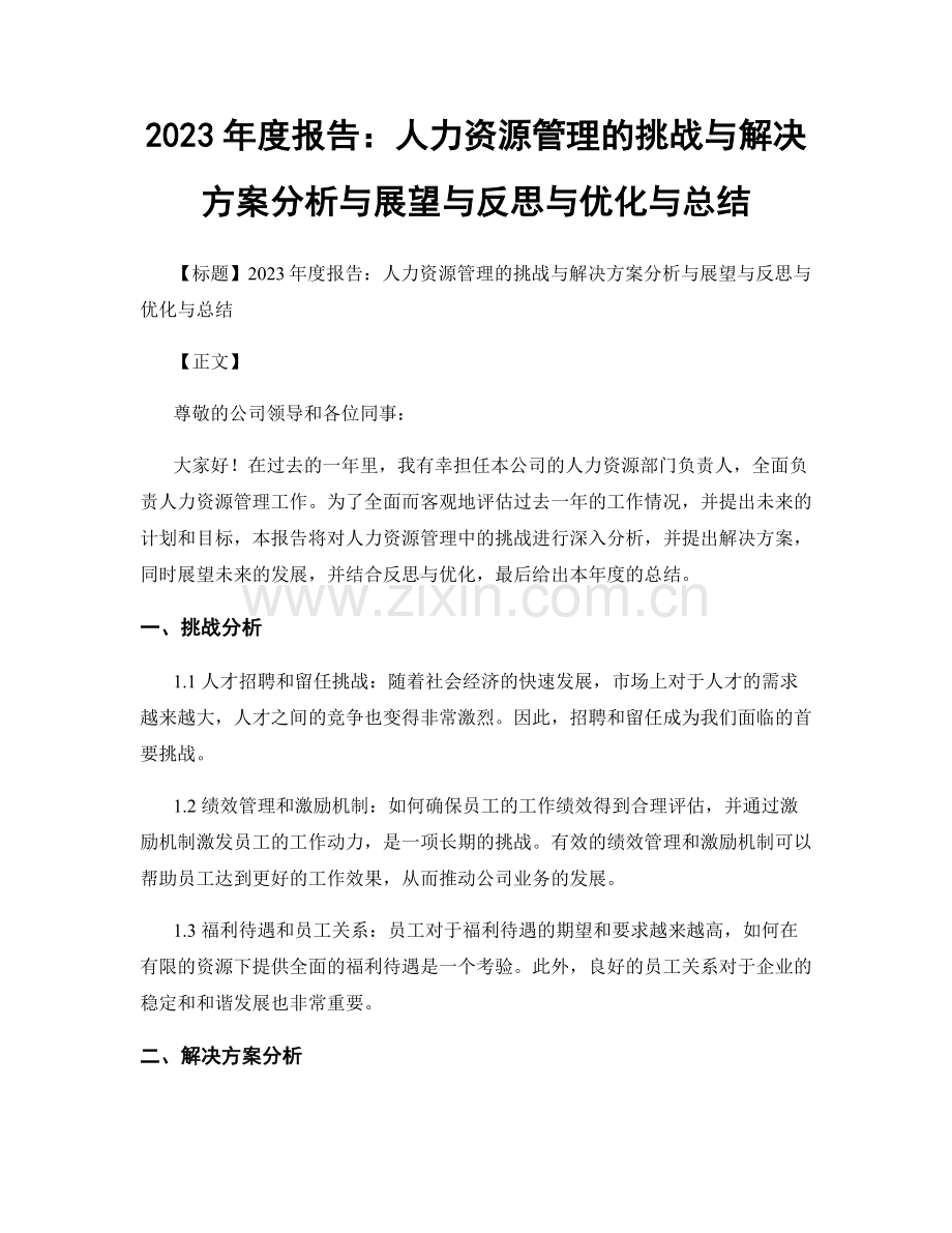 2023年度报告：人力资源管理的挑战与解决方案分析与展望与反思与优化与总结.docx_第1页