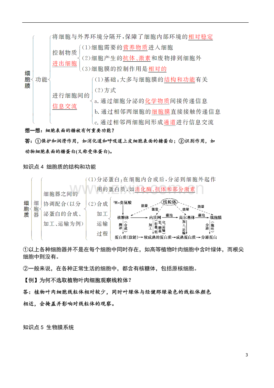 生物必修一、必修二知识点整理.doc_第3页