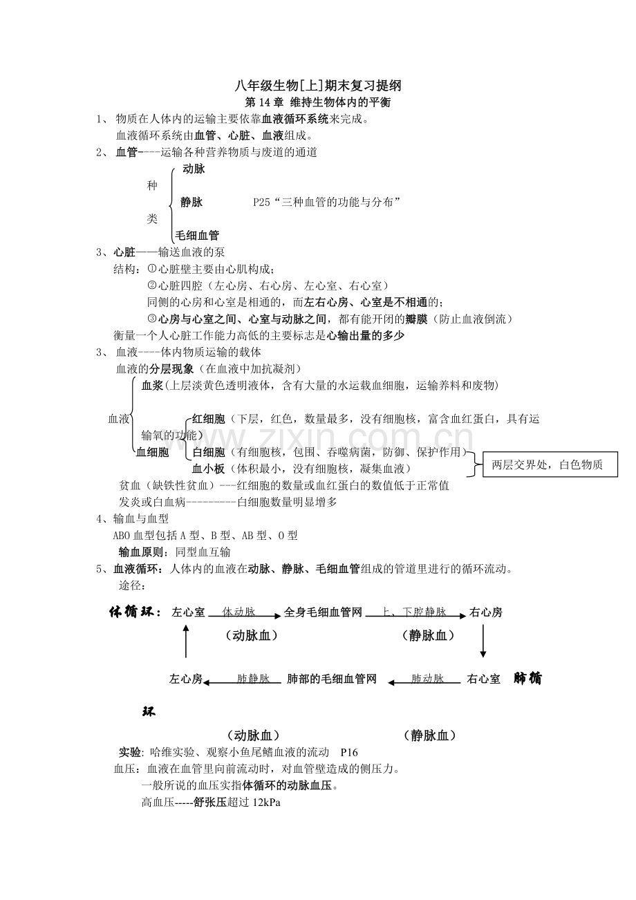 苏科版八年级上学期生物必考知识点归纳.doc_第1页