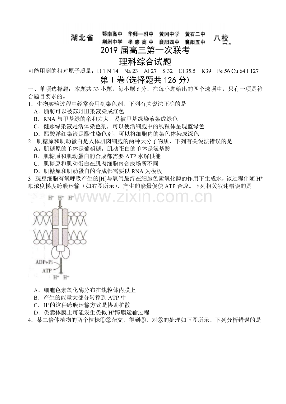 湖北省八校2019届高三12月第一次联考理综试题.doc_第1页