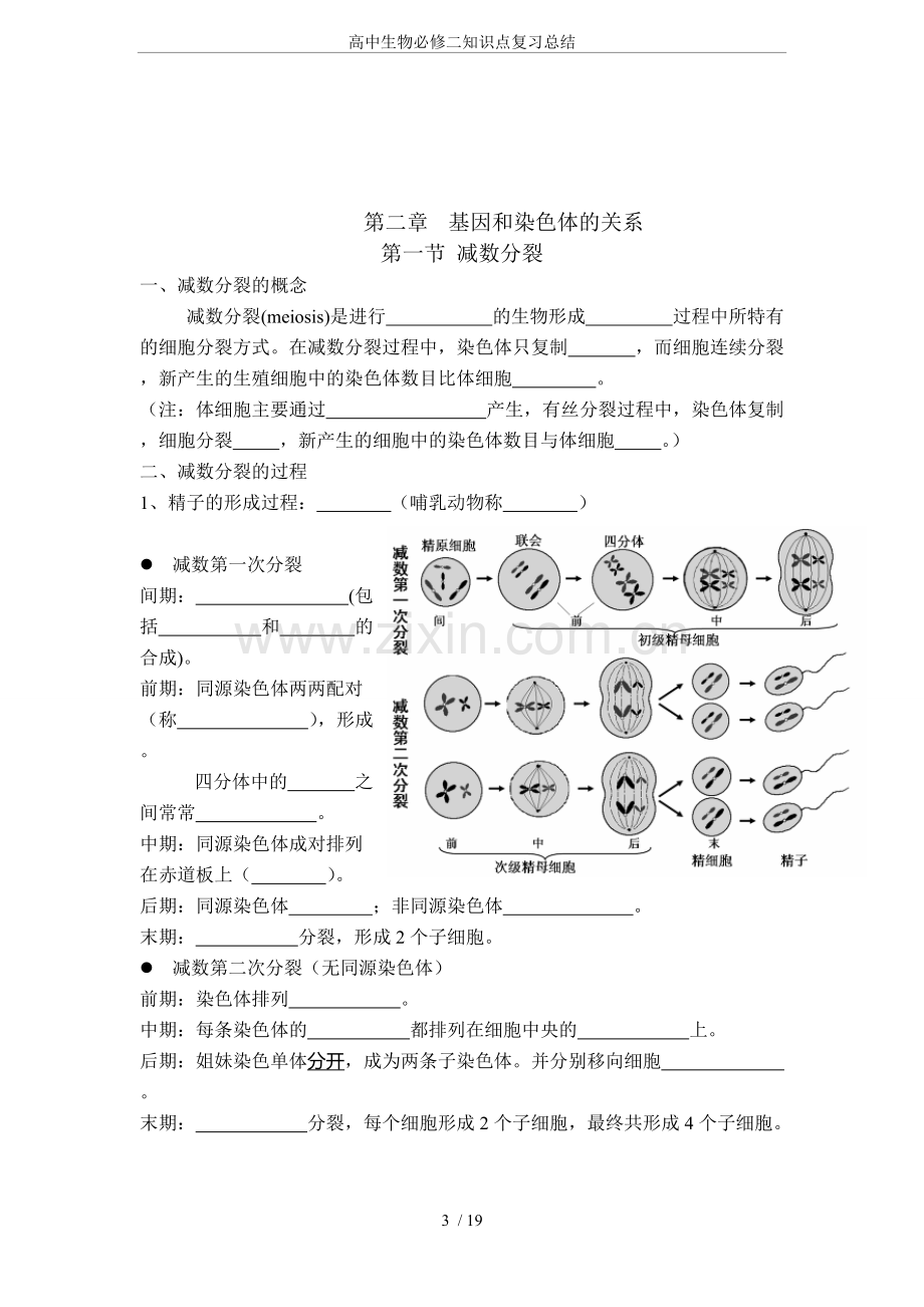 高中生物必修二知识点复习总结.pdf_第3页