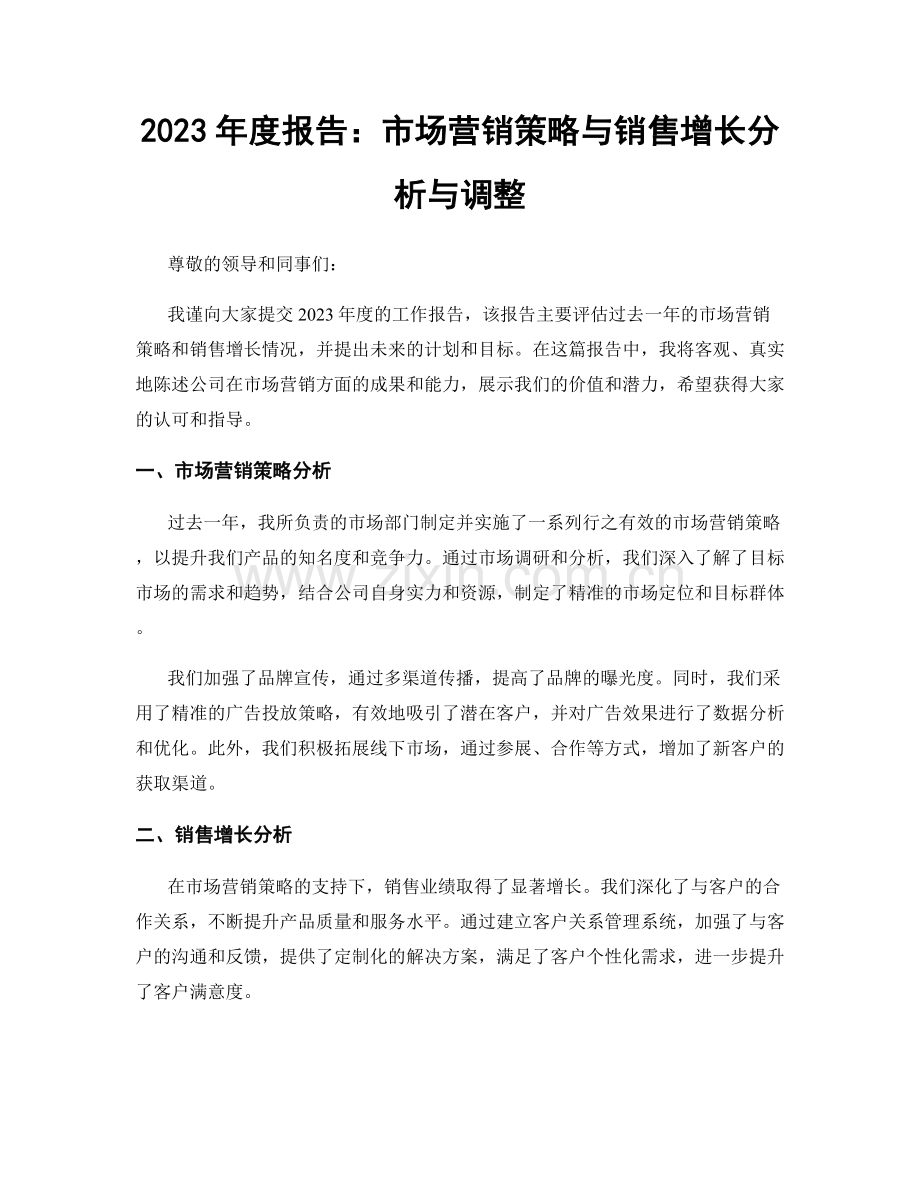 2023年度报告：市场营销策略与销售增长分析与调整.docx_第1页