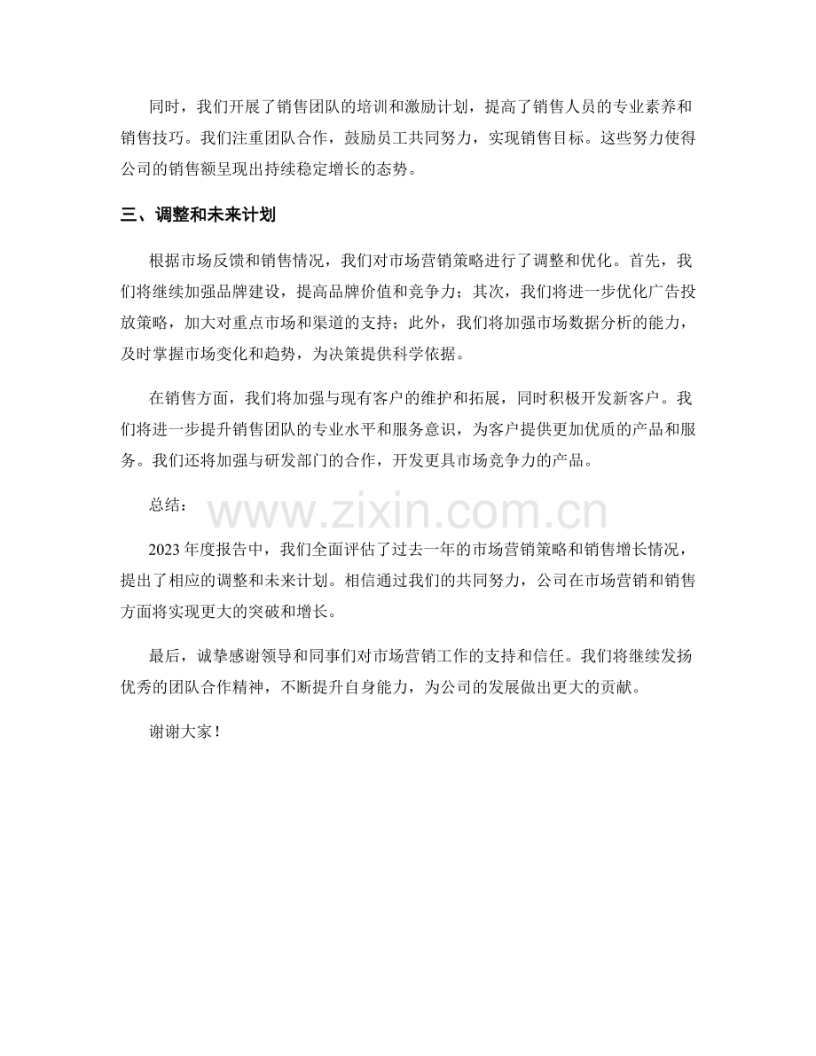 2023年度报告：市场营销策略与销售增长分析与调整.docx_第2页