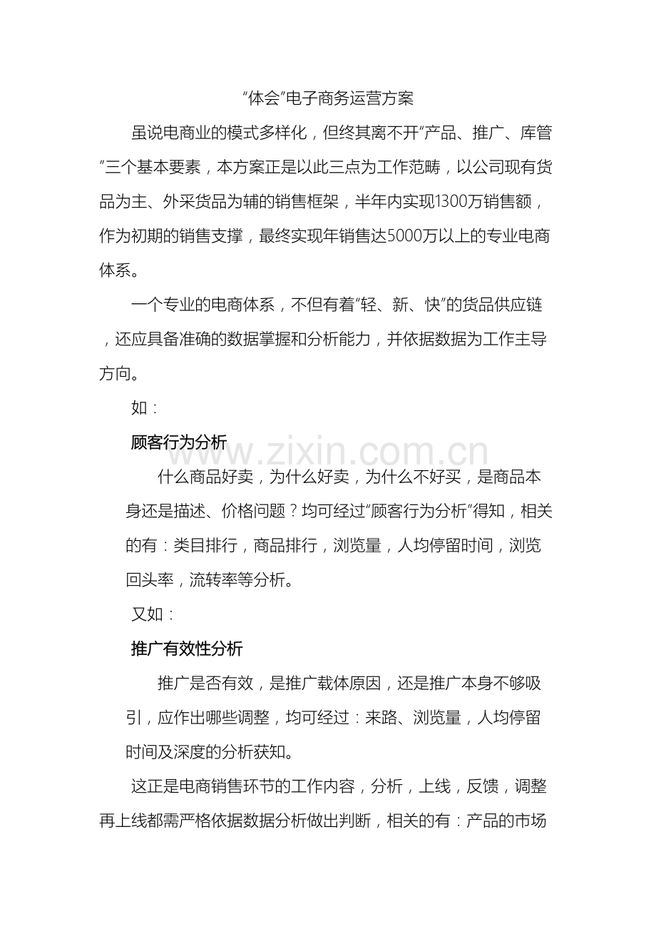 传统企业之电子商务运营方案.docx_第2页