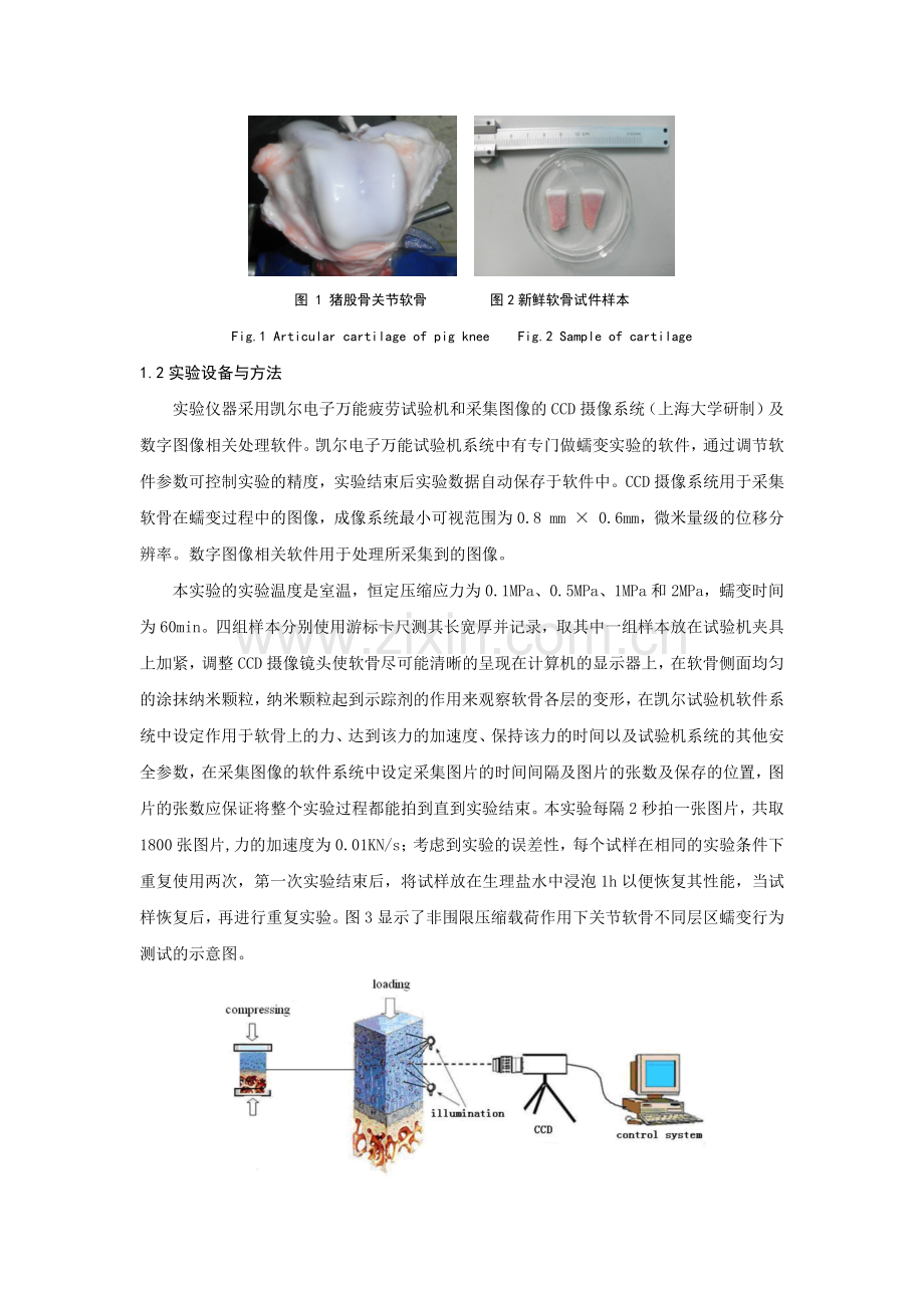 关节软骨的蠕变性能.doc_第2页