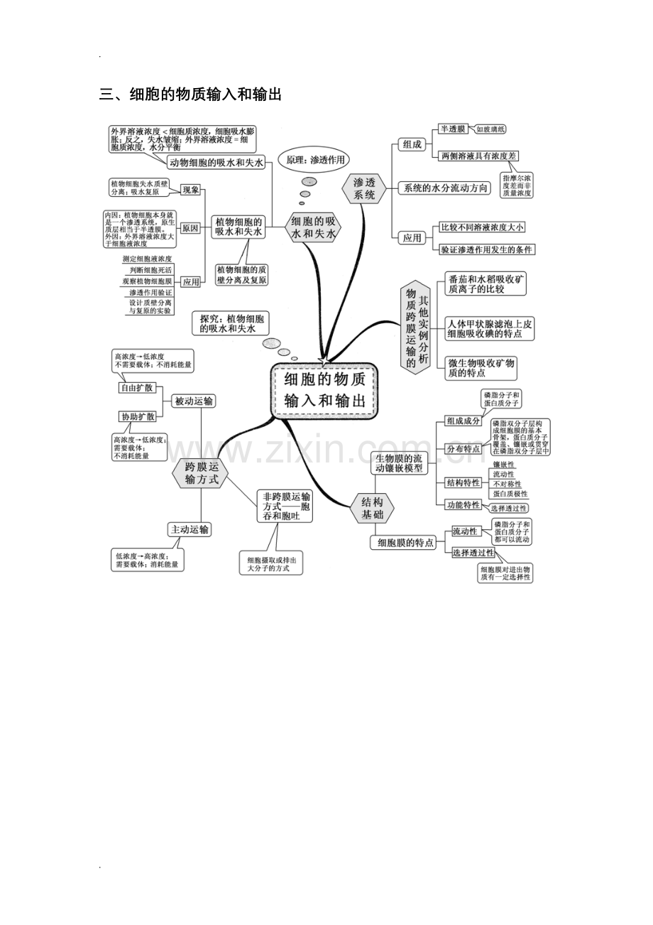 新课标高中生物全套思维导图.doc_第3页