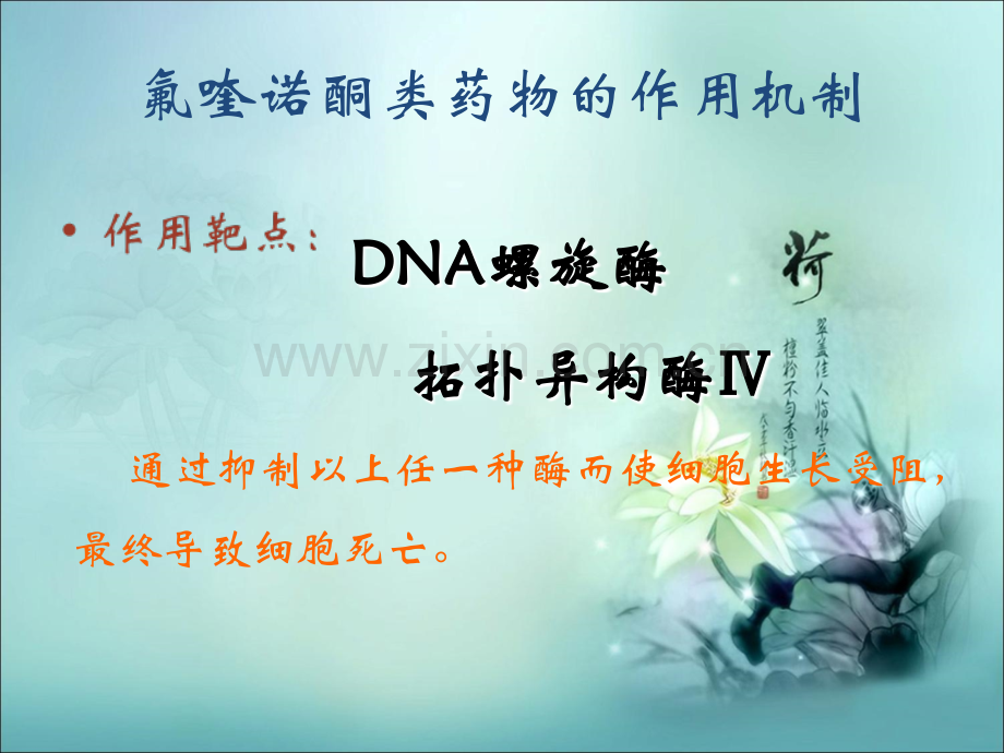 医学课件氟喹诺酮类抗菌药物的合理选择.ppt_第3页