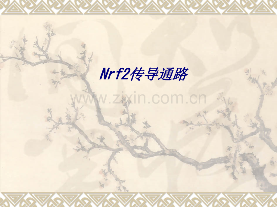 Nrf传导通路.ppt_第1页