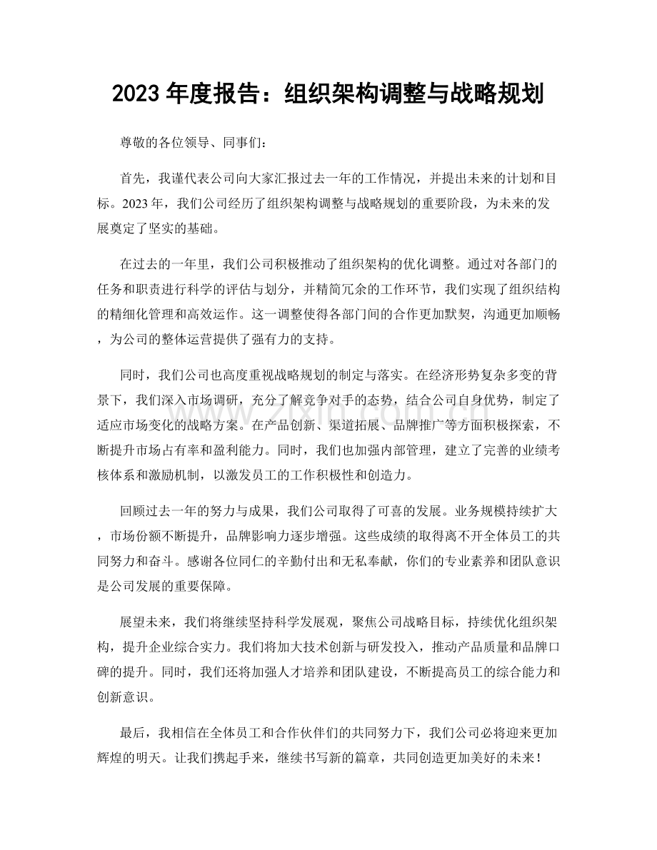 2023年度报告：组织架构调整与战略规划.docx_第1页