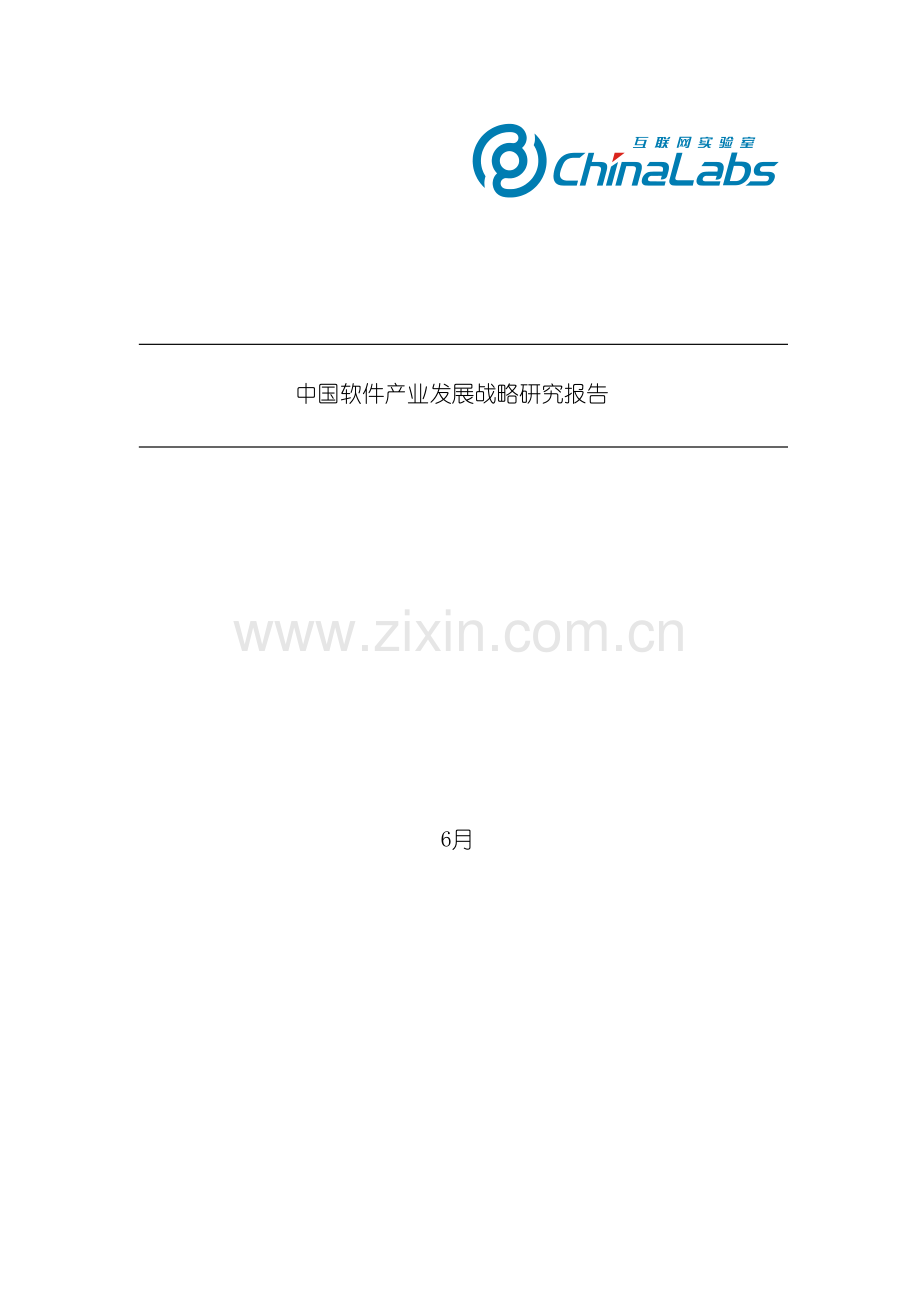 中国软件产业发展战略研究报告.doc_第2页