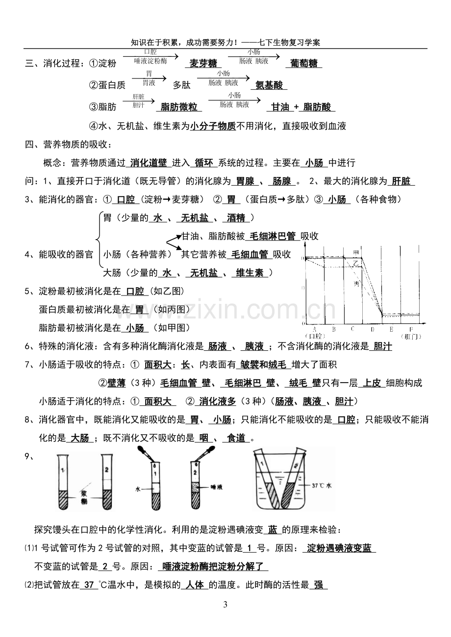 人教版生物复习学案(七下)人教版.doc_第3页