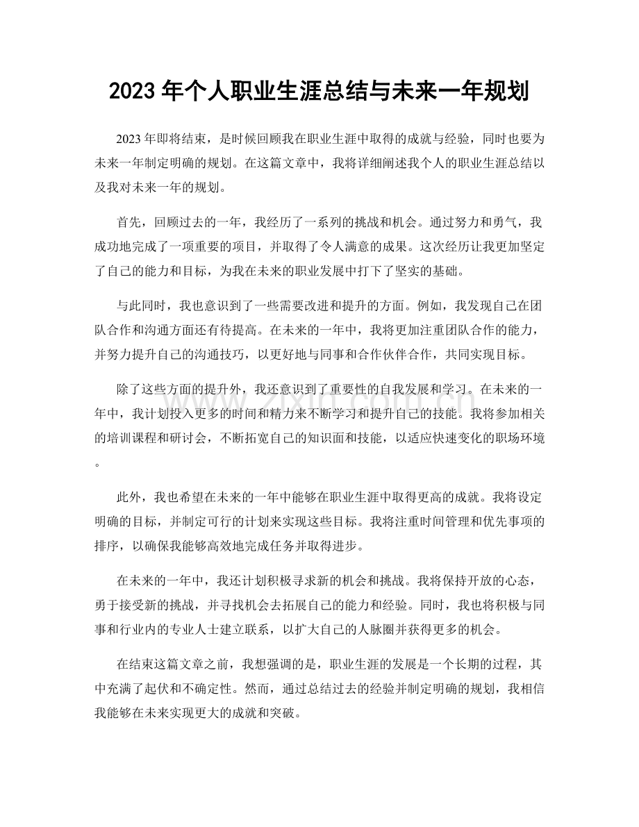 2023年个人职业生涯总结与未来一年规划.docx_第1页